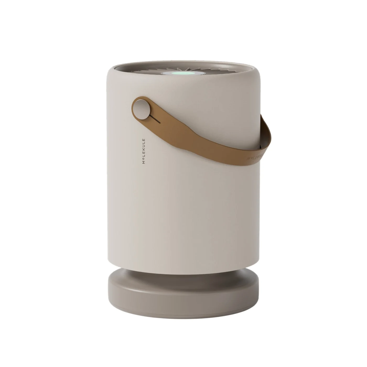 Molekule PECOAir+