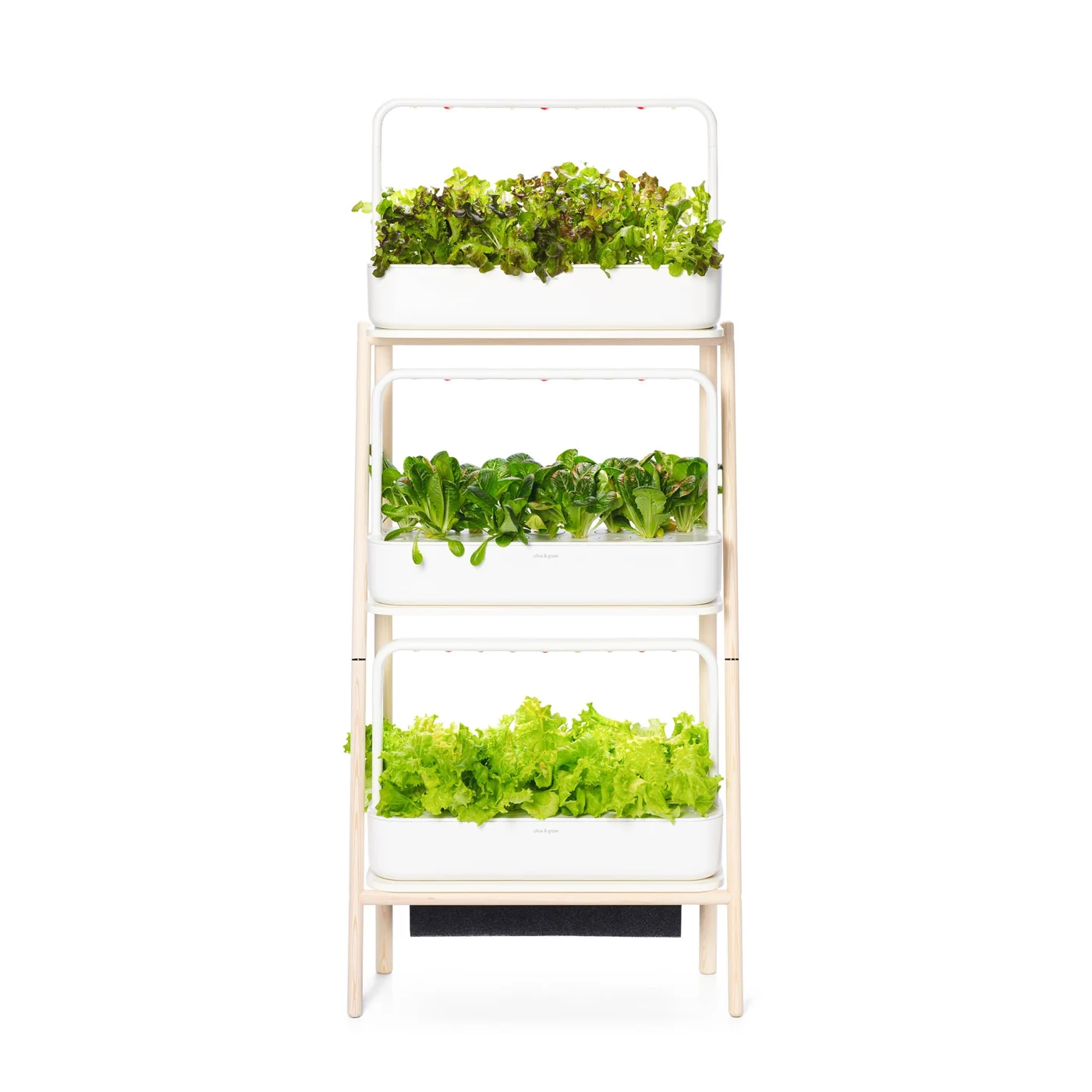 Click & Grow The Smart Garden 27