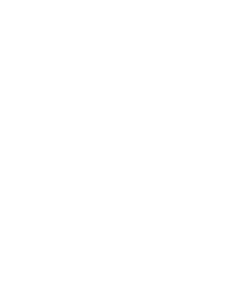 Trinnov logo