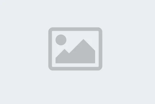 P3 Passive Subwoofer Module PER PIECE