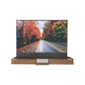 Cine 1 + Screen + Fort  Cabinet + MP-100